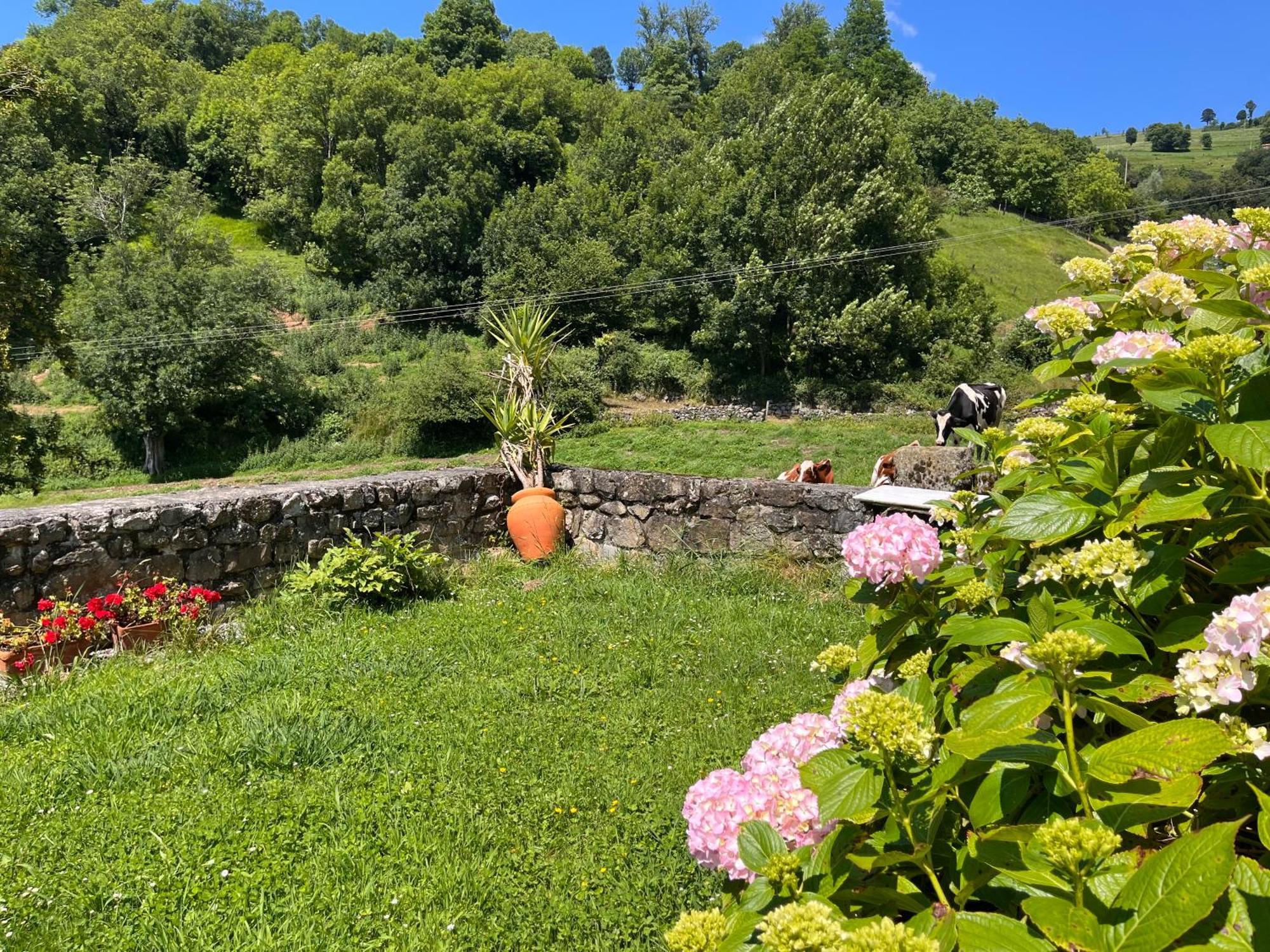 Posada De Villacarriedo المظهر الخارجي الصورة